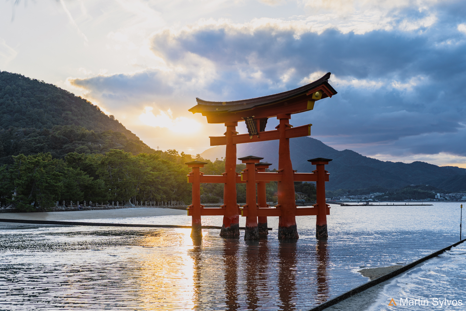 2025 Japon martin sylvos 14